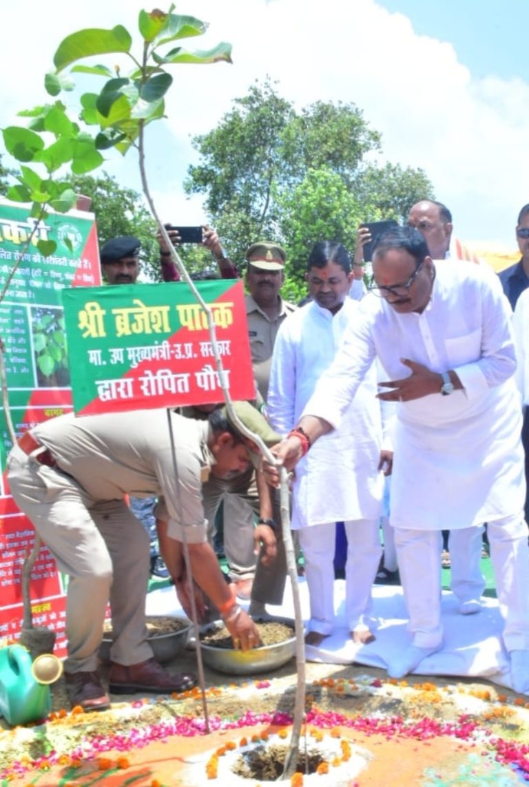 पूरे प्रदेश में इस वित्तीय वर्ष में 35 करोड़ पौधरोपण करने का लक्ष्य निर्धारित किया गया: डिप्टी सीएम बृजेश पाठक