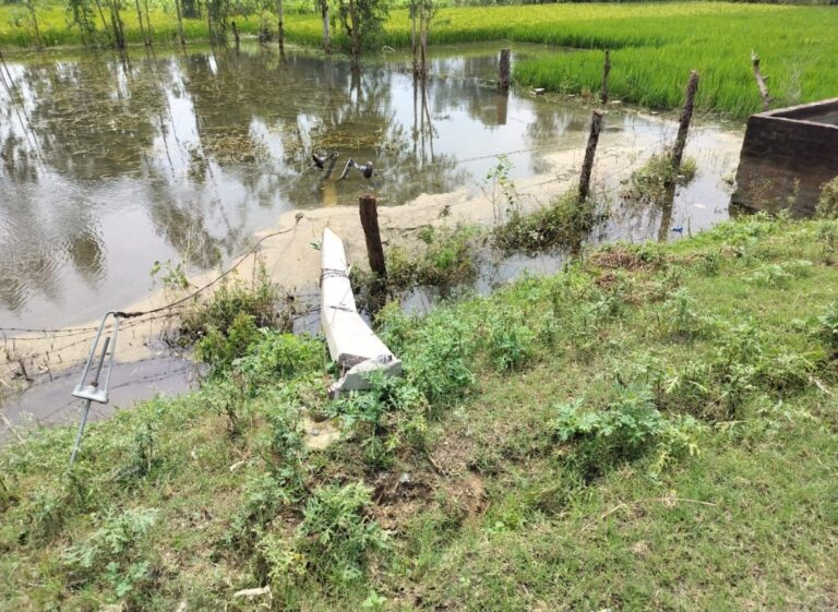 विद्युत पोल गिरने से बिजली बाधित अधिशाषी अभियंता दिलीप यादव ने लिया संज्ञान