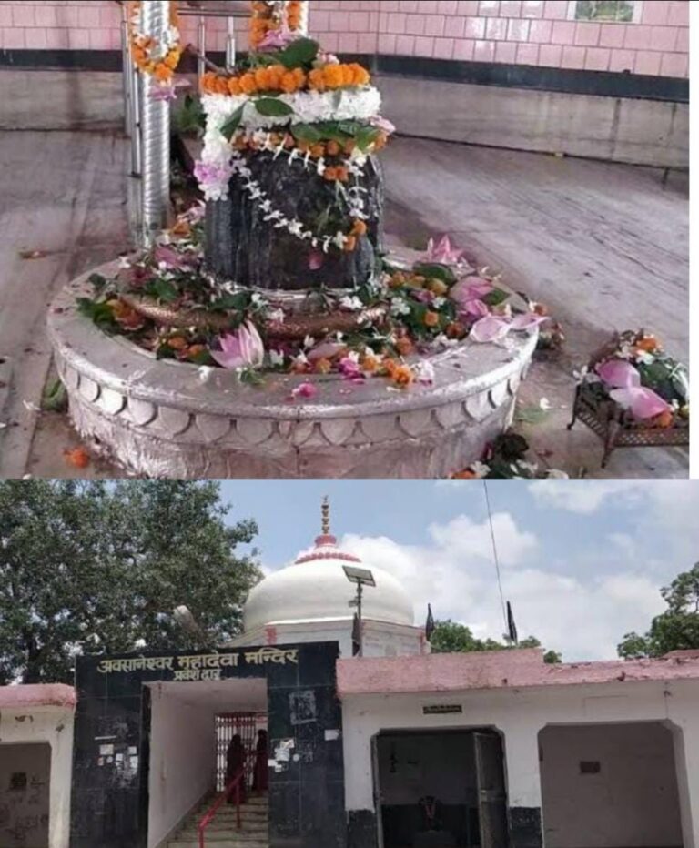 अवसानेश्वर मंदिर से ढाई किलो तांबे के नाग देवता की प्रतिमा सहित दस हजार रुपए लेकर शातिर चोर फरार