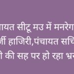 हैदरगढ़ ब्लॉक की ग्राम पंचायत सीटू मउ में मनरेगा में लग रही फ़र्ज़ी हाजिरी