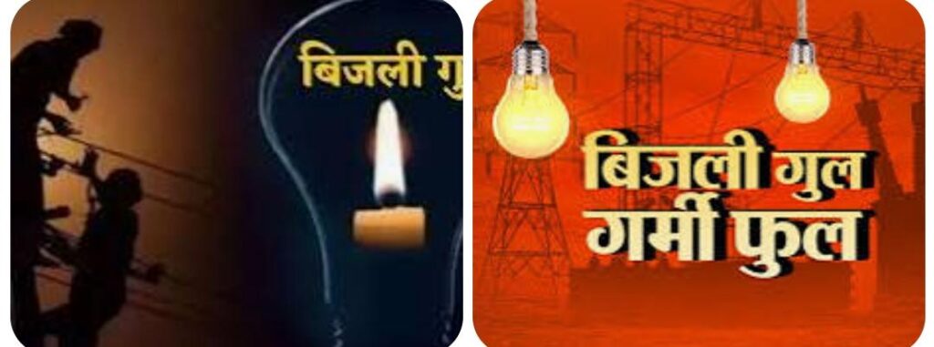 भीषण गर्मी में बिजली कटौती से रामनगर की जनता बेहाल