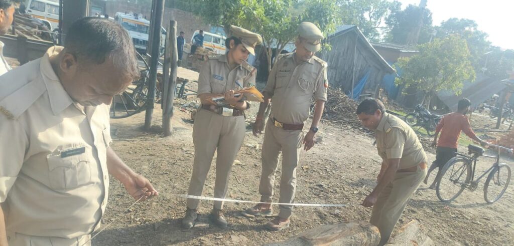 गणेशपुर लकड़ी मंडी में वन विभाग का छापा, अवैध भंडारण पर कार्रवाई