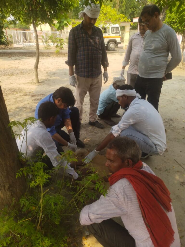 प्रसव पीड़ा से तड़प रही मादा बंदर की बची जान, मृत शावक को दिया जन्म